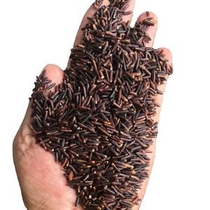 Arroz Negro Premium en Oferta, Arroz Integral Natural, Saludable, Alto en Fibra, Antioxidante, Orgánico, a Granel - Product Image 1