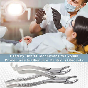 Fórceps de Extracción Dental Manual de Acero Inoxidable Alemán para Raíz de Incisor Inferior Universal con Certificación CE y Agarre Ergonómico de 30 mm - Product Image 6
