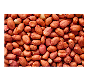 Granos de cacahuete de piel roja seca de alta calidad para picar y hornear Necesidades de cocina a precios de mayorista - Product Image 4