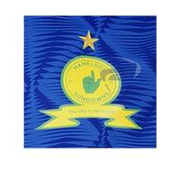 Camiseta de Fútbol Mamelodi Sundowns Azul Estampada Premium, Transpirable, de Secado Rápido, Ligera, con Nombre de Equipo Personalizado 100%