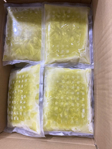 JUS DE CANNE À SUCRE CONGELÉ DIRECT D'USINE DANS DES SACS PA MEILLEUR VENDEUR 2025 - Product Image 2