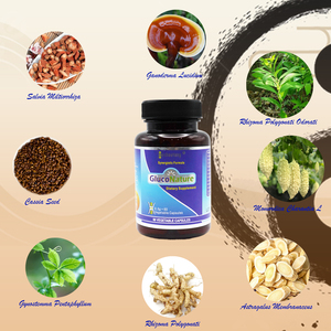 Mercado de suplementos herbales GN de 12 años-Suplementos sanitarios - Product Image 2