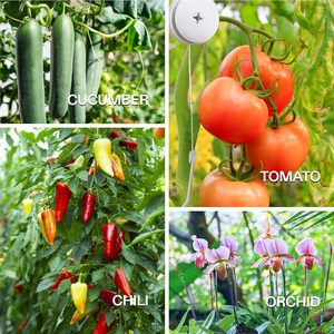 Crochets réglables pour plantes Yo Yo Plant <span class=keywords><strong>Yoyo</strong></span> Grow Hanger avec bouchon - Product Image 5