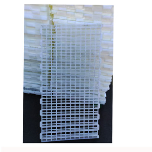 Pavimentazione in Plastica per Pollai 100*50 cm, Pavimento a Griglia ad Alta Resistenza per Allevamenti di Polli/Anatre/Oche - Product Image 6