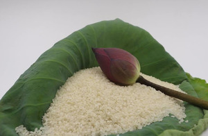 Riz japonica vietnamien de haute qualité pour l'Océanie Prix d'exportation compétitif - Product Image 2