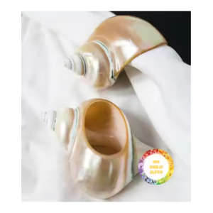 Rond de serviette coquillage Accessoire fait main écologique de Real Shell pour la conception de table rustique du Vietnam - Product Image 1