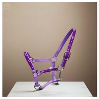 Vente en gros de licous en nylon personnalisés pour équipement pour chevaux Colliers de tête équestres de toutes les couleurs