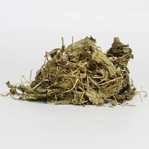 ใบบัวบกธรรมชาติใบเอเชียติกาใบบัวบกส่งออกแบบดั้งเดิม - Product Image 6