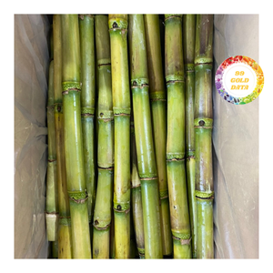 Morceaux de canne à sucre congelés de qualité constante, pratiques pour les kiosques à boissons, les restaurants et les distributeurs de jus - Product Image 4