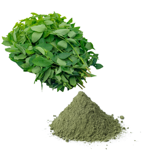 Venta caliente hoja dulce seca de calidad superior en forma de polvo al por mayor a granel mejor precio para uso alimentario - Product Image 5