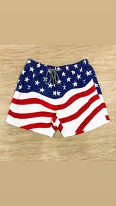 Custom Logo High Quality Breathable Quick Dry Mesh Shorts Double <b>Layer</b> 5 Inch Inseam Oversized Mens 100% Polyester Elastic Waist - Product Image 2