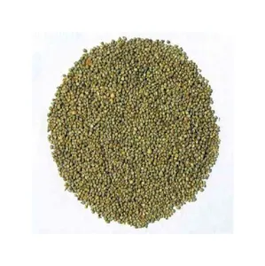 Best quality Indian green millet Green Millet Bajra Animal Feed In Good Quality Available For Export