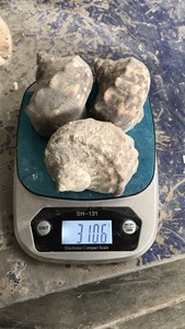 Venta al por mayor conchas naturales pulidas caracoles de pepino de mar cajas de Peces Acuarios paisaje decoraciones Animal estilo concha marina - Product Image 2