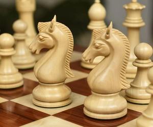 Piezas de Ajedrez Staunton de la Serie Premium Candidates en Caja de Madera de Palisandro Rosa, Rey de 3.75 Pulgadas a Precio Económico - Product Image 3