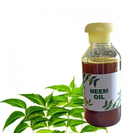 Dầu Hạt Neem Dầu Hạt Nhân Azadirachta Indica Nguyên Chất