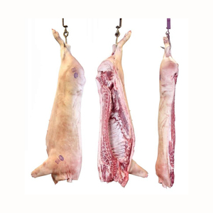 Principal exportateur polonais de corps d'épaule de porc séché et congelé et de carcasse avec vitamines dans un emballage en sac ou en boîte - Product Image 4
