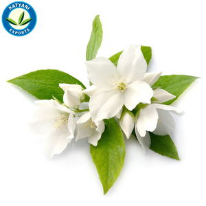 Venta al por mayor a granel 100% puro jazmín natural Sambac aceite esencial aromaterapia y perfumería fabricación de jabón exportación India - Product Image 4
