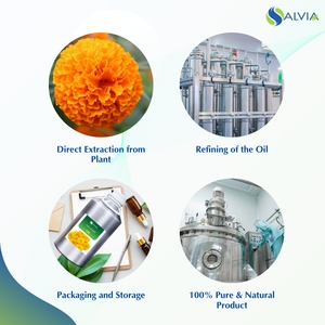 น้ำมันหอมระเหยดอกดาวเรืองสีเหลืองบริสุทธิ์และเป็นธรรมชาติ100% - Product Image 4