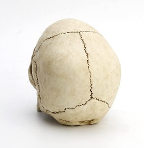 Modèle de sculpture de crâne de tête humaine en résine écologique personnalisée faite à la main pour la décoration intérieure provenant de l'inde. - Product Image 2