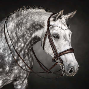 สนับมือขี่ม้าพร้อมสายคิ้วคริสตัล เรียงนุ่ม โล่งหินสตราสพร้อมฮาร์ดแวร์สแตนเลส - Product Image 1