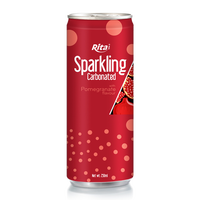 Gratis Monster Bruisend Water Natuurlijke Gearomatiseerde Gefilterde Puree Redelijke Prijs Voorkomen Uitdroging Fruitgroentesap