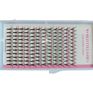 2023 Top Choice High 7D Wispy Mink Spike Lash Fan 12 lignes 0.07mm Volume New Cluster Premade Extensions de cils individuels - Product Image 1