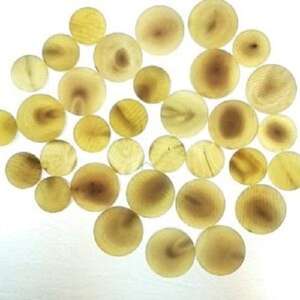 Botón de Cuerno de Búfalo al por Mayor, Forma Redonda Simple, Decoración de Cuentas, Fabricante Exportador, Precio Competitivo - Product Image 3