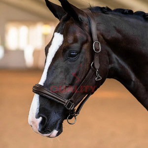 Brida de caballo de cuero para exteriores hecha a mano en estilo sillín inglés con correas ajustables que ofrecen un ajuste personalizado y comodidad superior - Product Image 2