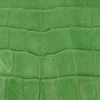 Blouson Bomber Homme Vert en Toile Gaufrée à Col Montant et Capuche – Haute Qualité, Conception Personnalisée OEM, Chaud, Imperméable et Coupe-Vent pour l'Hiver