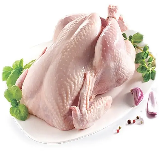 Precio barato pollo entero congelado/pollo congelado para la venta