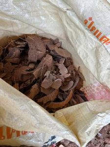 Vỏ dừa nghiền vỏ dừa - Product Image 2