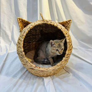 Cestas de Almacenamiento Plegables de Ratán Hechas a Mano, Multifuncionales, Novedad, Ecológicas, para el Hogar de Gatos, para Estilo, Comodidad y Sostenibilidad - Product Image 6