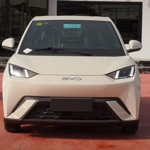 BYD Seagull en Vuelo - Product Image 1