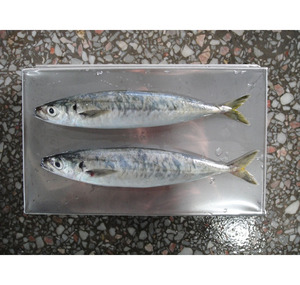 Caballa congelada Entera Tamaño grande Sin grasas trans Paquete al vacío Bajo en carbohidratos Pescado de la mejor calidad para los amantes del mercado y el pescado - Product Image 6