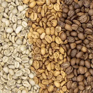 Chicchi di caffè Robusta e Arabica in vendita