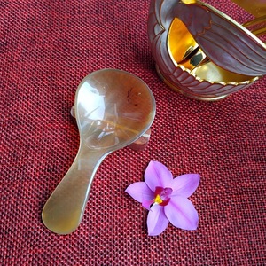 Cuillère en corne de buffle naturelle, fabriquée à la main et polie, parfaite pour servir des épices, des condiments ou pour une utilisation décorative sur la table, de haute qualité - Product Image 2