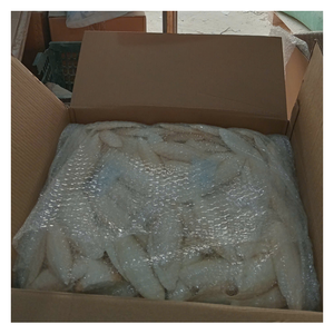 Fourniture en vrac d'os de seiche naturels pour oiseaux et animaux aquatiques, sans humidité, étiquettes personnalisées disponibles - Product Image 5