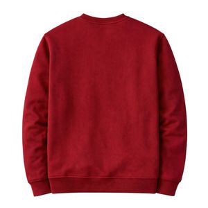 Sudadera de chenilla con escudo de armas de Kappa Alpha Psi, talla exacta, forro polar premium, bordada, ropa de fraternidad griega - Product Image 5
