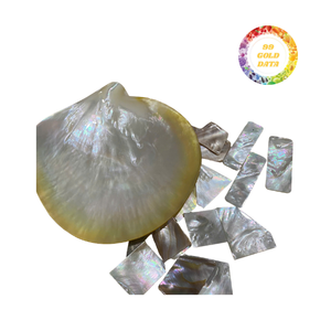 เปลือกหอยมุกพรีเมียมจำนวนมาก - มีทั้งแบบทั้งเปลือกและแบบบด สำหรับงานศิลปะ งานโมเสก และผู้ผลิตงานฝีมือระดับหรู - Product Image 2