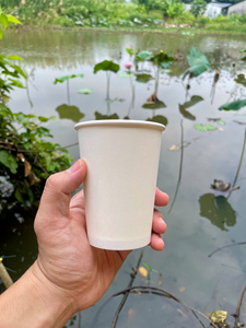 Vaso de Papel Desechable Ecológico GREEN NEST con Recubrimiento de PE de Pared Simple para Bebidas Calientes/Frías, Café, Té, Impresión de Logotipo Personalizado - Product Image 5