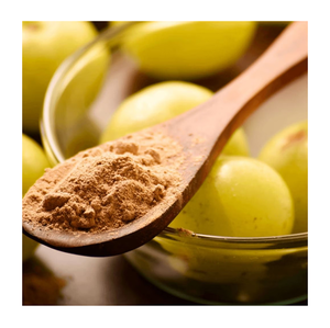 Poudre d'extrait de plantes de groseille sauvage biologique de haute qualité avec de la vitamine C de qualité alimentaire pour les soins de la peau - Product Image 3