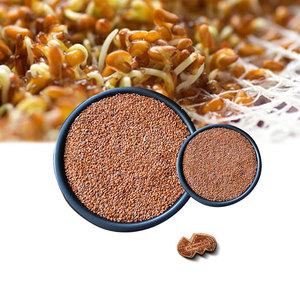 Berro | Hierba agrícola fresca | Ingrediente botánico puro - Product Image 4