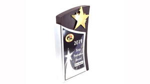 Fornitura all'ingrosso da Designer India targa in legno stella Memento premio in metallo per un lungo servizio per trofei medaglie placche di esportazione - Product Image 3