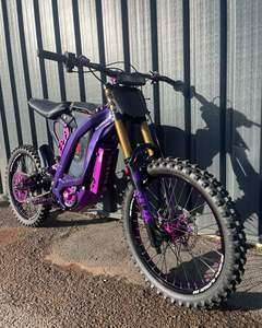 Prêt à expédier, qualité supérieure, soldes promotionnelles 2023/2024, vélos électriques Light Beeee X, 60V 40AH, motos Surr-Ronsss - Product Image 1