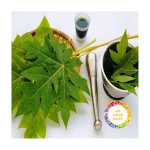 Thé LOOSINH, feuilles de papaye séchées, meilleur thé de feuilles de papaye du Vietnam, thé biologique, herbes, vente en gros au Vietnam - Product Image 3