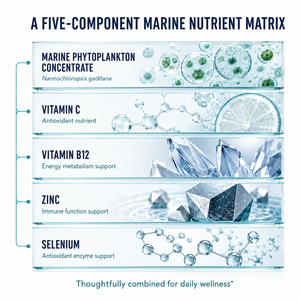 Concentré Liquide Avancé de Phytoplancton Marin avec Zinc et Sélénium <span class=keywords><strong>pour</strong></span> <span class=keywords><strong>le</strong></span> Soutien Complet du Bien-être Corporel – Supplément ODM en Vrac - Product Image 5