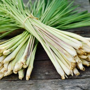 Exportation de citronnelle fraîche naturelle de qualité supérieure au meilleur prix feuille de citronnelle biologique congelée pour la cuisson - Product Image 3