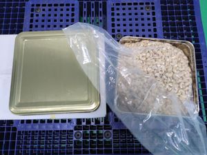 NOIX DE CAJOU DE QUALITÉ SUPÉRIEURE BLANC ENTIER W240 W320 PRODUIT CHAUD HAUTE QUALITÉ BON PRIX NOUVELLE CULTURE USINE BRC HANFIMEX 0084915196568 - Product Image 4