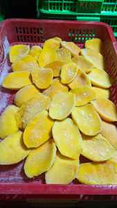 <b>HOT</b> SELLING Vietnam Frozen Mango IQF 2025 High Quality Sweet Tropical Fruit Available Bulk Export Best Seller Price - Product Image 2