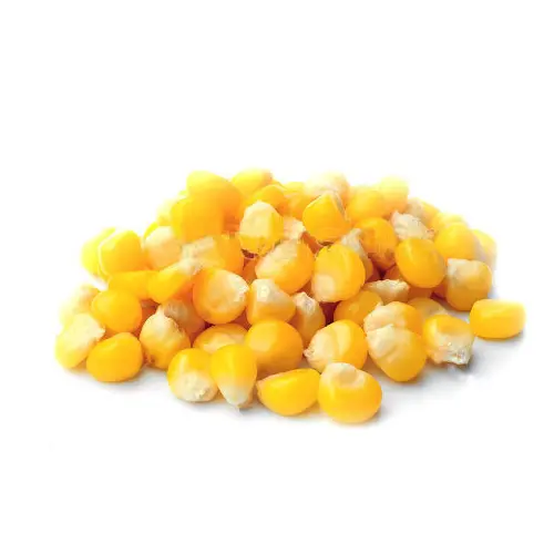 Hot Selling Dried Yellow Corn prices / Dried Yellow Maize Australia / Yellow corn for Animal feed for sale